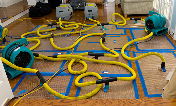 Professional Basement Flood Cleanup technician working in Hicksville, OH